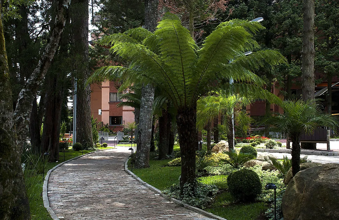 Master Gramado Hotel - Localização no Centro e Espaço Kids Incrível-1